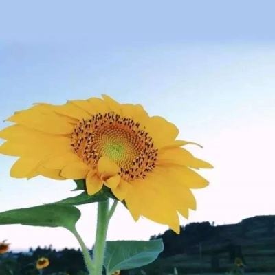 必一体育官网平台