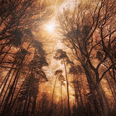 星空体育网站入口