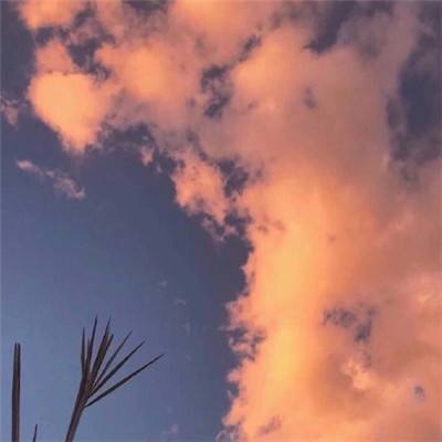 江南官方网站下载手机app下载